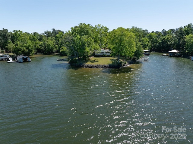 17835 Terryglass Ln, Charlotte, NC 28278 - water view with a forest