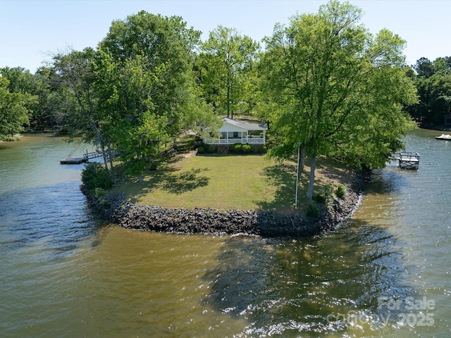 17835 Terryglass Ln, Charlotte, NC 28278 - water view with a boat dock