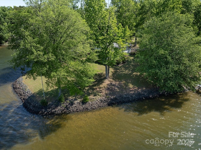 17835 Terryglass Ln, Charlotte, NC 28278 - water view