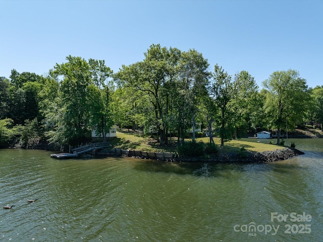 17835 Terryglass Ln, Charlotte, NC 28278 - water view