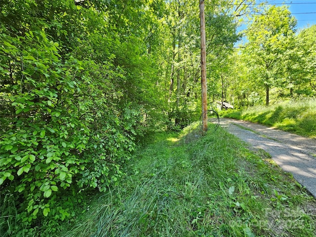 00 Owens Rd, Waynesville, NC 28785 - photo 2