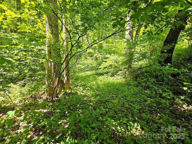 00 Owens Rd, Waynesville, NC 28785 - photo 3