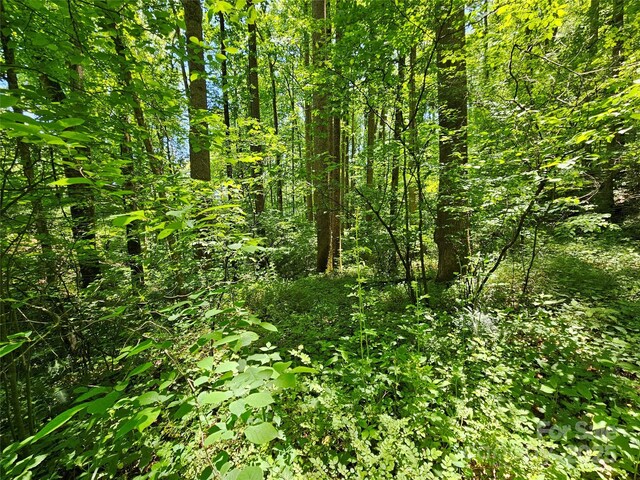00 Owens Rd, Waynesville, NC 28785 - photo 4