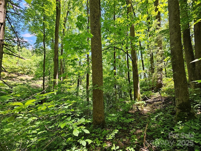 00 Owens Rd, Waynesville, NC 28785 - photo 6