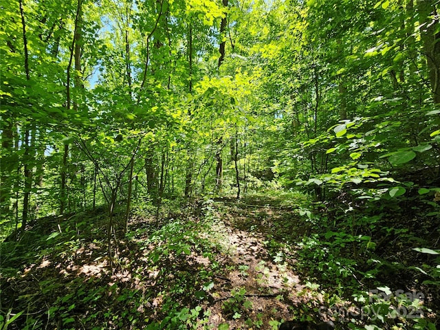 00 Owens Rd, Waynesville, NC 28785 - photo 9