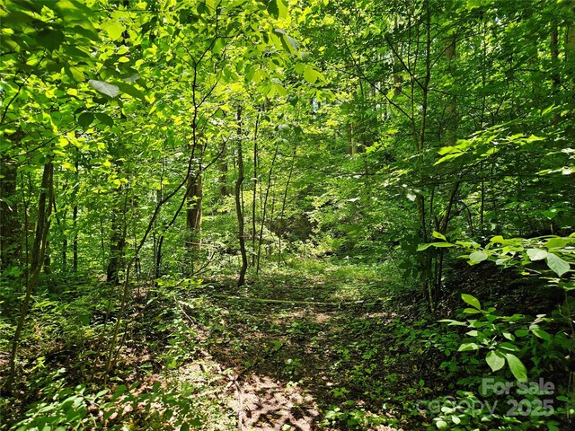 00 Owens Rd, Waynesville, NC 28785 - photo 10