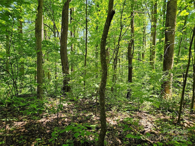 00 Owens Rd, Waynesville, NC 28785 - photo 11