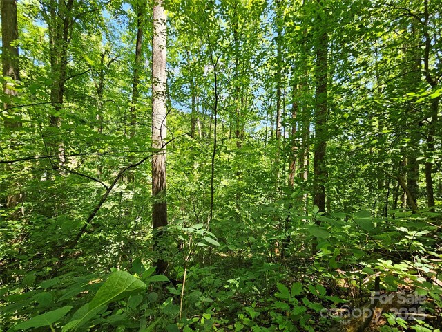 00 Owens Rd, Waynesville, NC 28785 - photo 12