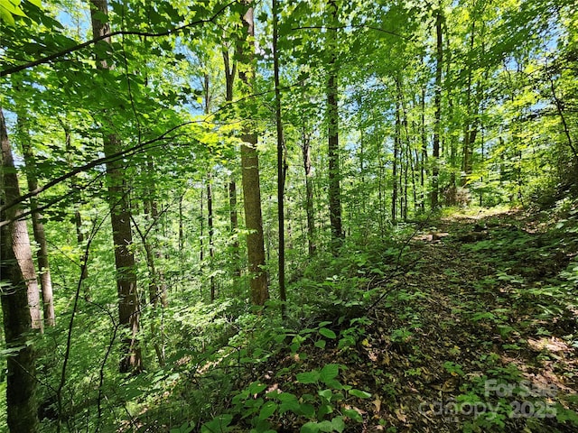 00 Owens Rd, Waynesville, NC 28785 - photo 13