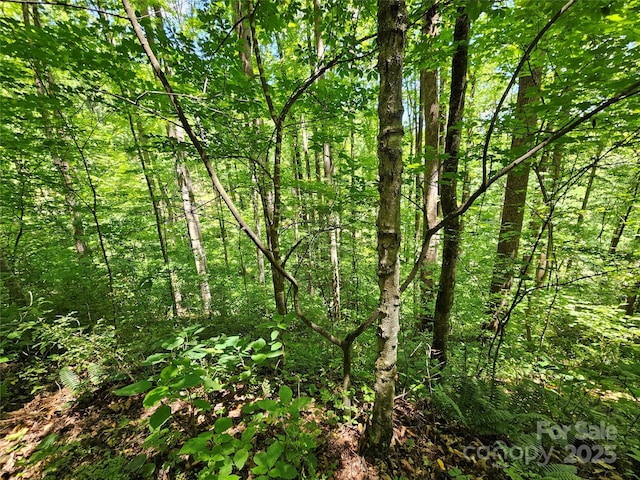 00 Owens Rd, Waynesville, NC 28785 - photo 14