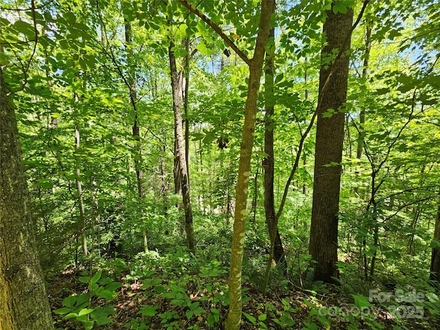 00 Owens Rd, Waynesville, NC 28785 - photo 15