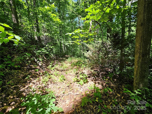 00 Owens Rd, Waynesville, NC 28785 - photo 16