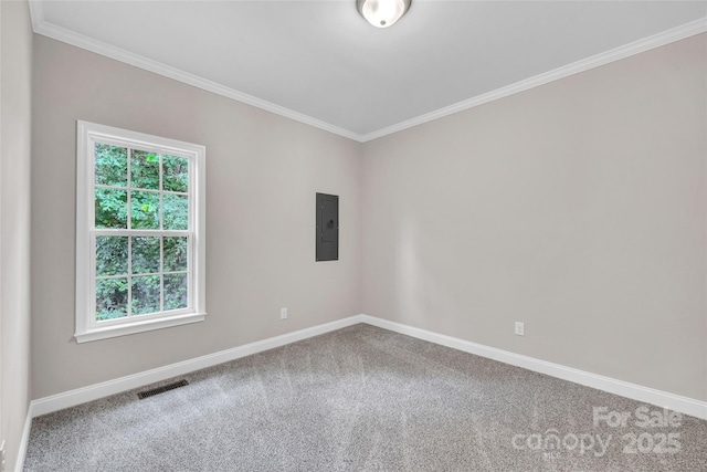 160 Wayne Gobble Rd, Linwood, NC 27299 - spare room with electric panel, plenty of natural light, baseboards, crown molding, and carpet