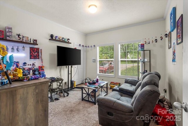 113 Robinette Ln, Statesville, NC 28625 - photo 21
