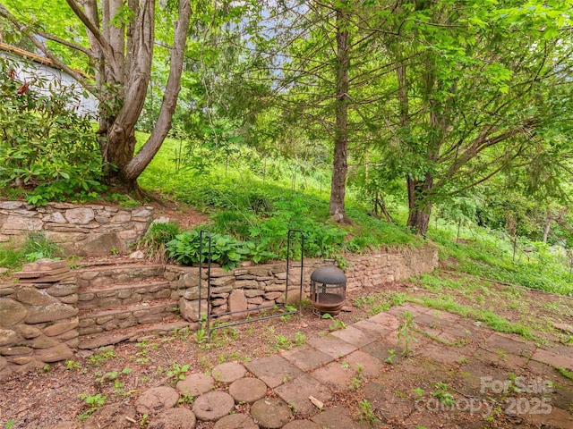 49 Caring Place Loop, Clyde, NC 28721 - view of yard