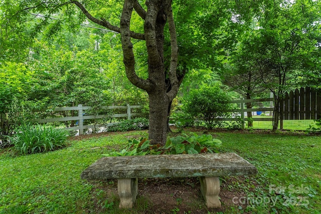 528 Padgettown Rd, Black Mountain, NC 28711 - view of yard