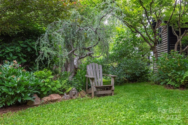 528 Padgettown Rd, Black Mountain, NC 28711 - view of green lawn