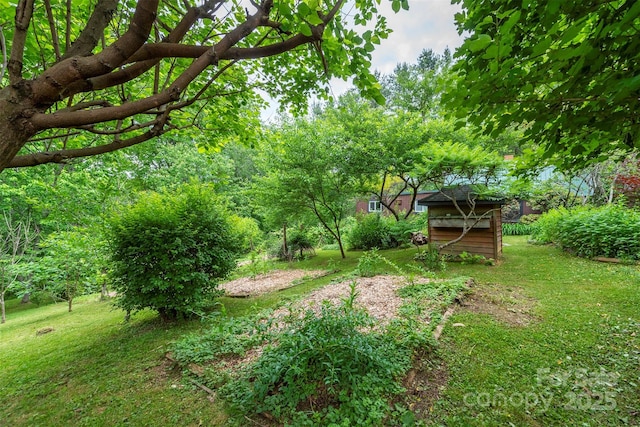 528 Padgettown Rd, Black Mountain, NC 28711 - view of grassy yard