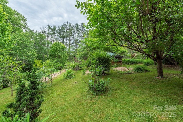 528 Padgettown Rd, Black Mountain, NC 28711 - view of green lawn