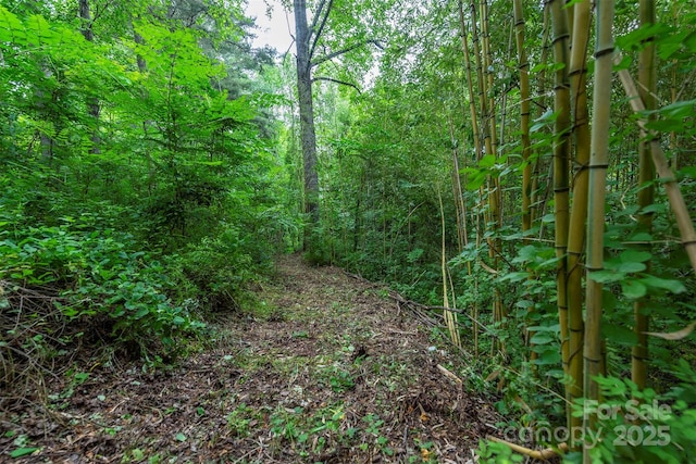 528 Padgettown Rd, Black Mountain, NC 28711 - view of wooded area