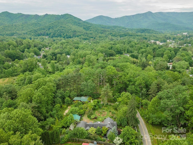 528 Padgettown Rd, Black Mountain, NC 28711 - bird's eye view of a heavily wooded area and a mountain backdrop