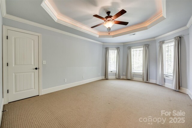 546 Little Cove Ln, Lake Wylie, SC 29710 - spare room with a tray ceiling, ornamental molding, light colored carpet, and healthy amount of natural light