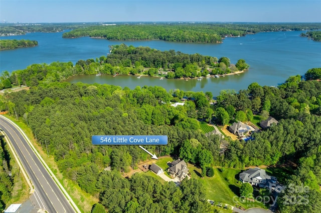546 Little Cove Ln, Lake Wylie, SC 29710 - aerial view of property's location with a large body of water and a forest