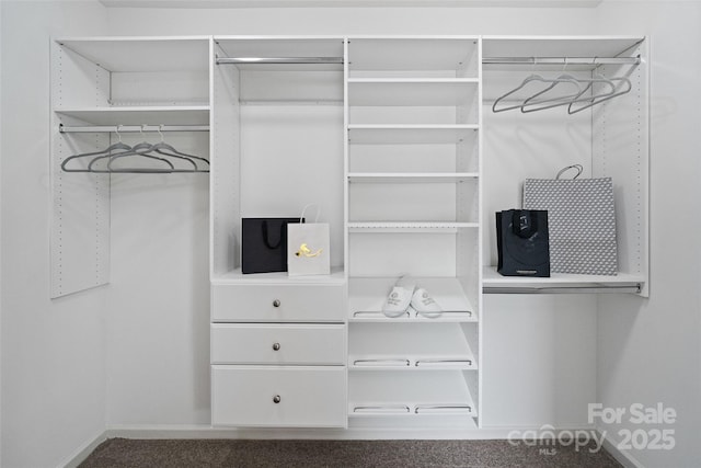 3092 Riker St, Clover, SC 29710 - view of walk in closet
