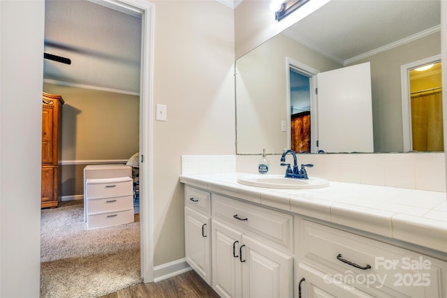 2434 Olewoods Ct, Rock Hill, SC 29732 - bathroom featuring vanity, ornamental molding, wood finished floors, baseboards, and decorative backsplash