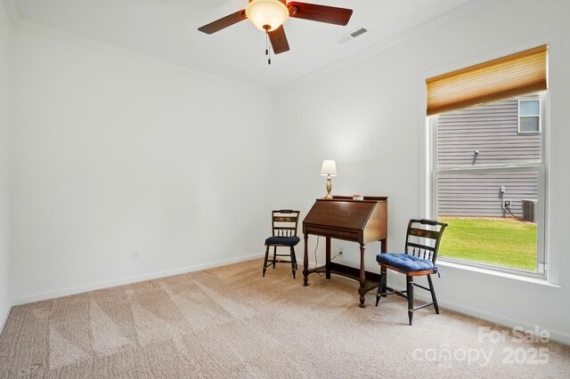 258 Cherrytree Dr, Fort Mill, SC 29715 - photo 30
