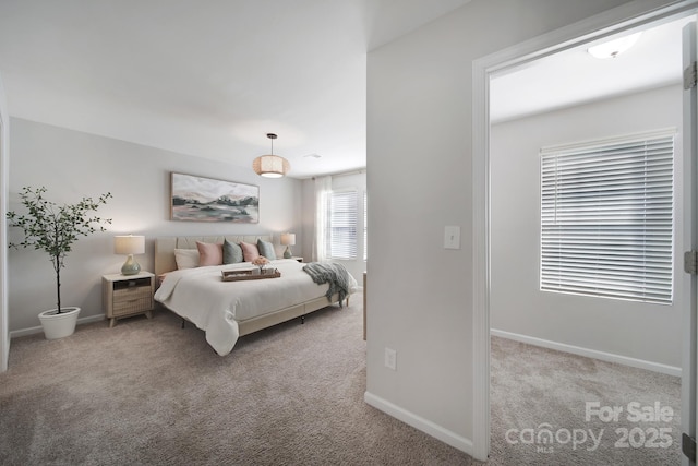 240 Briana Marie Way, Indian Trail, NC 28079 - bedroom with carpet floors and baseboards