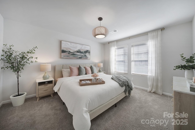 240 Briana Marie Way, Indian Trail, NC 28079 - bedroom with light carpet and baseboards