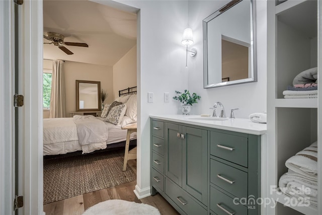 206 Independence Trl, Morganton, NC 28655 - ensuite bathroom with vanity, ceiling fan, and wood finished floors