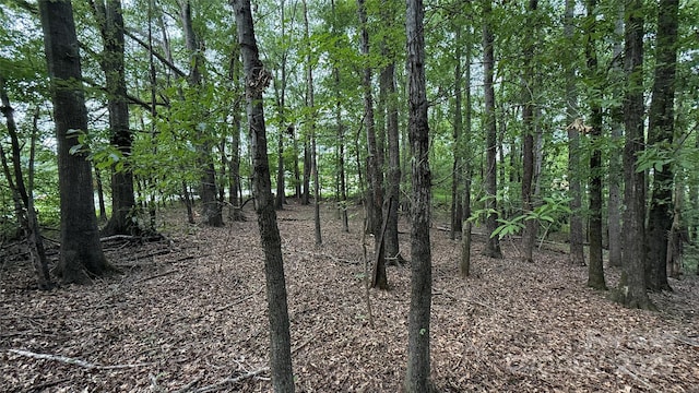 0 College Ave, Shelby, NC 28152 - photo 1