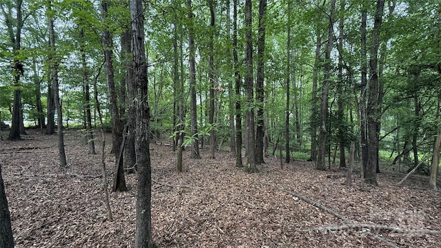 0 College Ave, Shelby, NC 28152 - photo 2