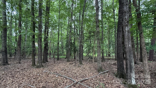 0 College Ave, Shelby, NC 28152 - photo 3