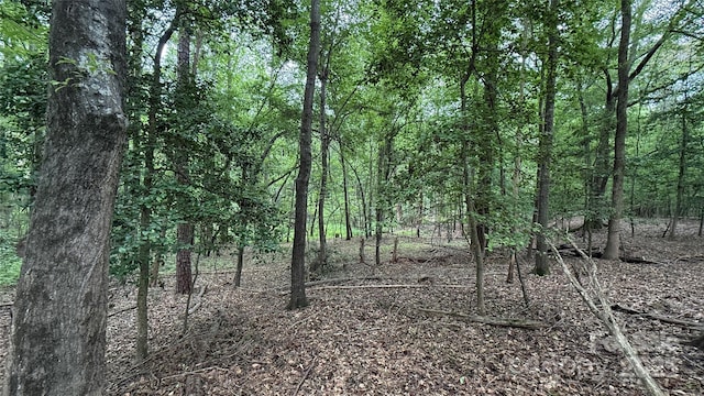 0 College Ave, Shelby, NC 28152 - photo 4