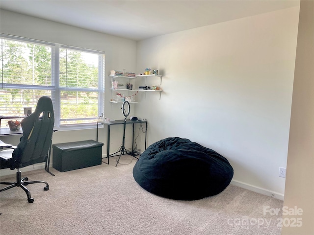 7024 Wheyfield Dr, Charlotte, NC 28215 - carpeted home office featuring baseboards