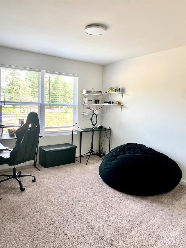 7024 Wheyfield Dr, Charlotte, NC 28215 - office space featuring carpet flooring