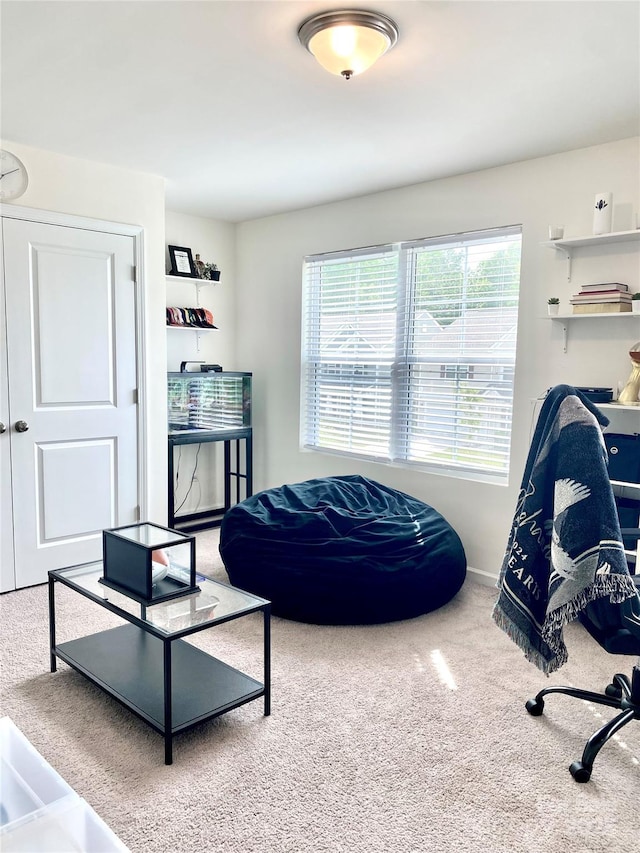 7024 Wheyfield Dr, Charlotte, NC 28215 - carpeted living room with baseboards