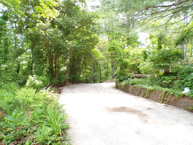 78 Mountain View Estate Rd, Hendersonville, NC 28739 - photo 21