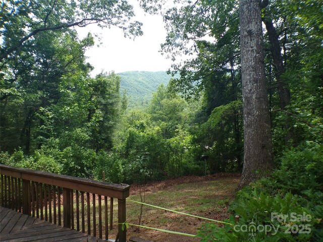 78 Mountain View Estate Rd, Hendersonville, NC 28739 - photo 22