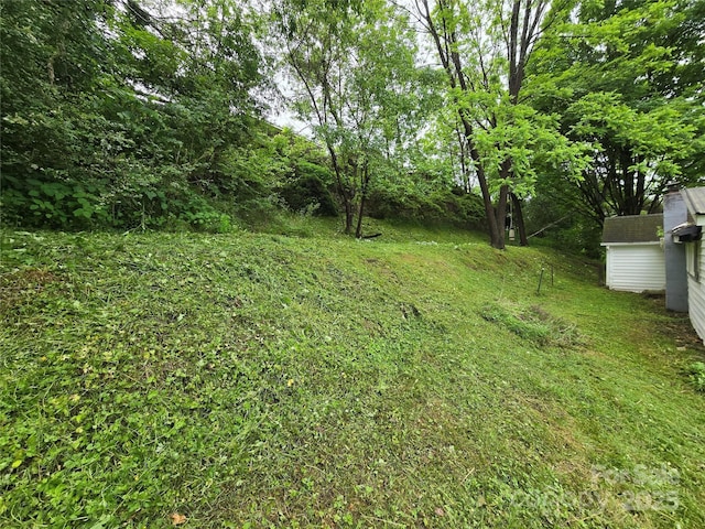 151 S Hill St, Waynesville, NC 28786 - view of yard