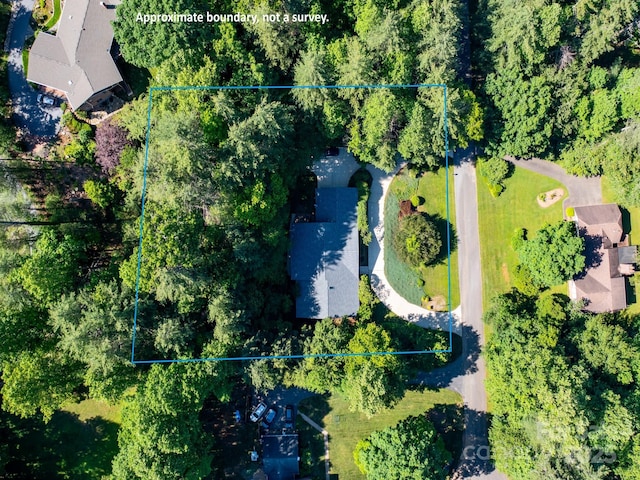 18 Westbridge Dr, Hendersonville, NC 28739 - aerial overview of property's location featuring property parcel outlined