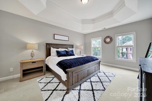 16714 Hammock Creek Pl, Charlotte, NC 28278 - carpeted bedroom featuring a raised ceiling, ornamental molding, and baseboards