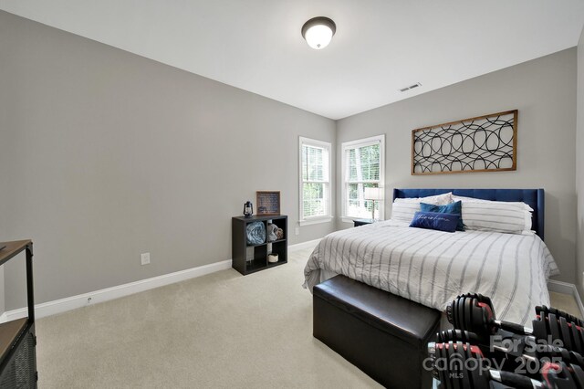 16714 Hammock Creek Pl, Charlotte, NC 28278 - bedroom featuring baseboards and carpet flooring