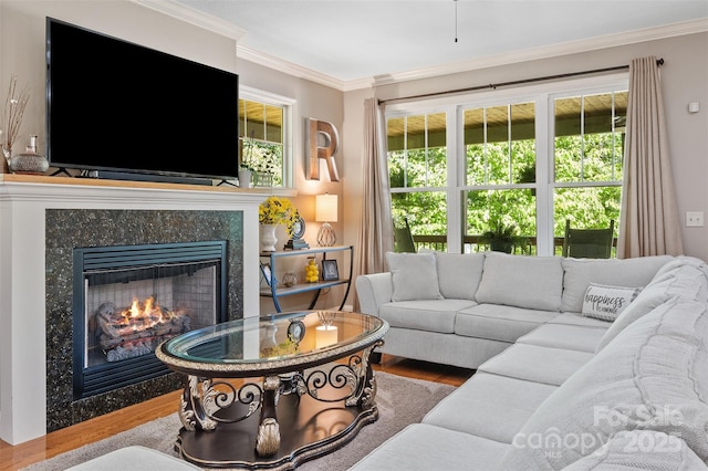 51 Cherry Ridge Ln, Weaverville, NC 28787 - living room featuring wood finished floors, crown molding, and a fireplace