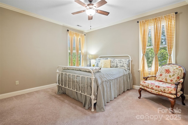 51 Cherry Ridge Ln, Weaverville, NC 28787 - bedroom with multiple windows, crown molding, carpet, and baseboards