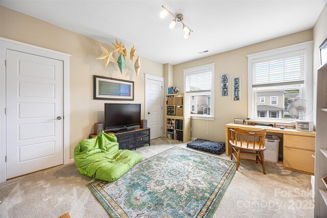 2313 Blueberry St, Belmont, NC 28012 - photo 23