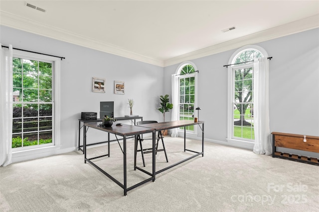 6432 Morningsong Ln, Charlotte, NC 28269 - carpeted office featuring crown molding and baseboards